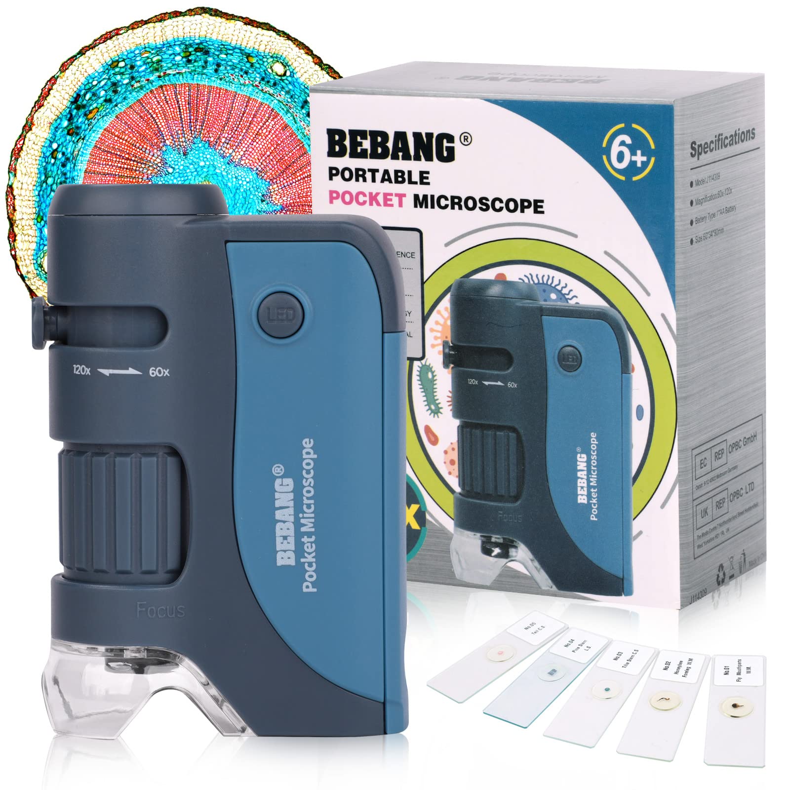 Amazon.com: Pocket Microscope, 60x-120x Handheld Mini